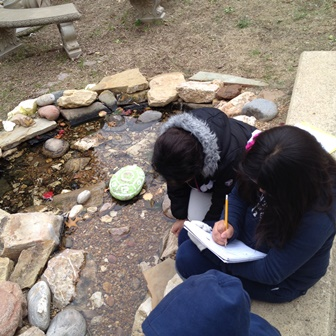 Heat Transfer and Energy Conservation -- Out Teach | OER ...