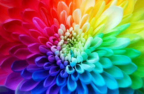 Amazing Colors !!! - Vocabulary | OER Commons