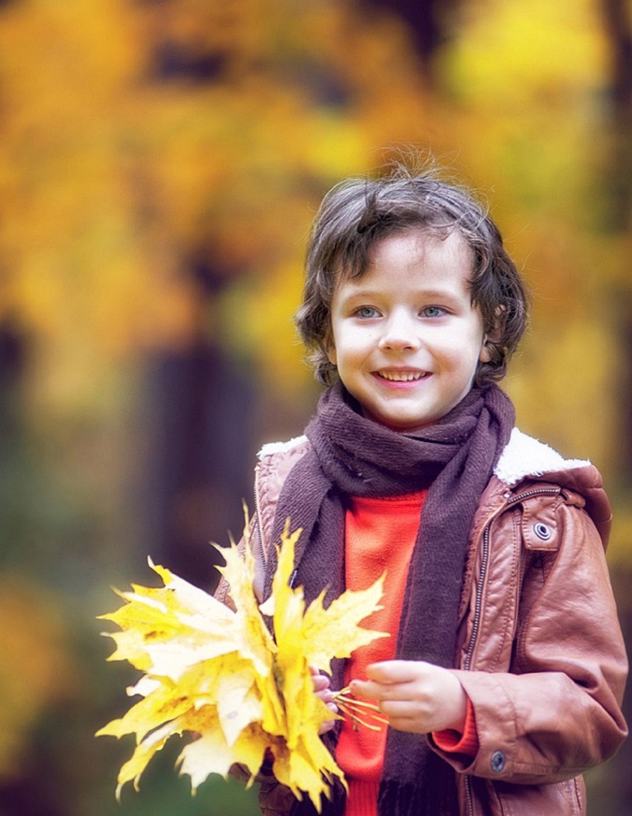 PEI Schoolyard Investigations 3 Fall Colors Espa ol OER Commons PEI Schoolyard Investigations 3 Fall Colors Espa ol OER Commons