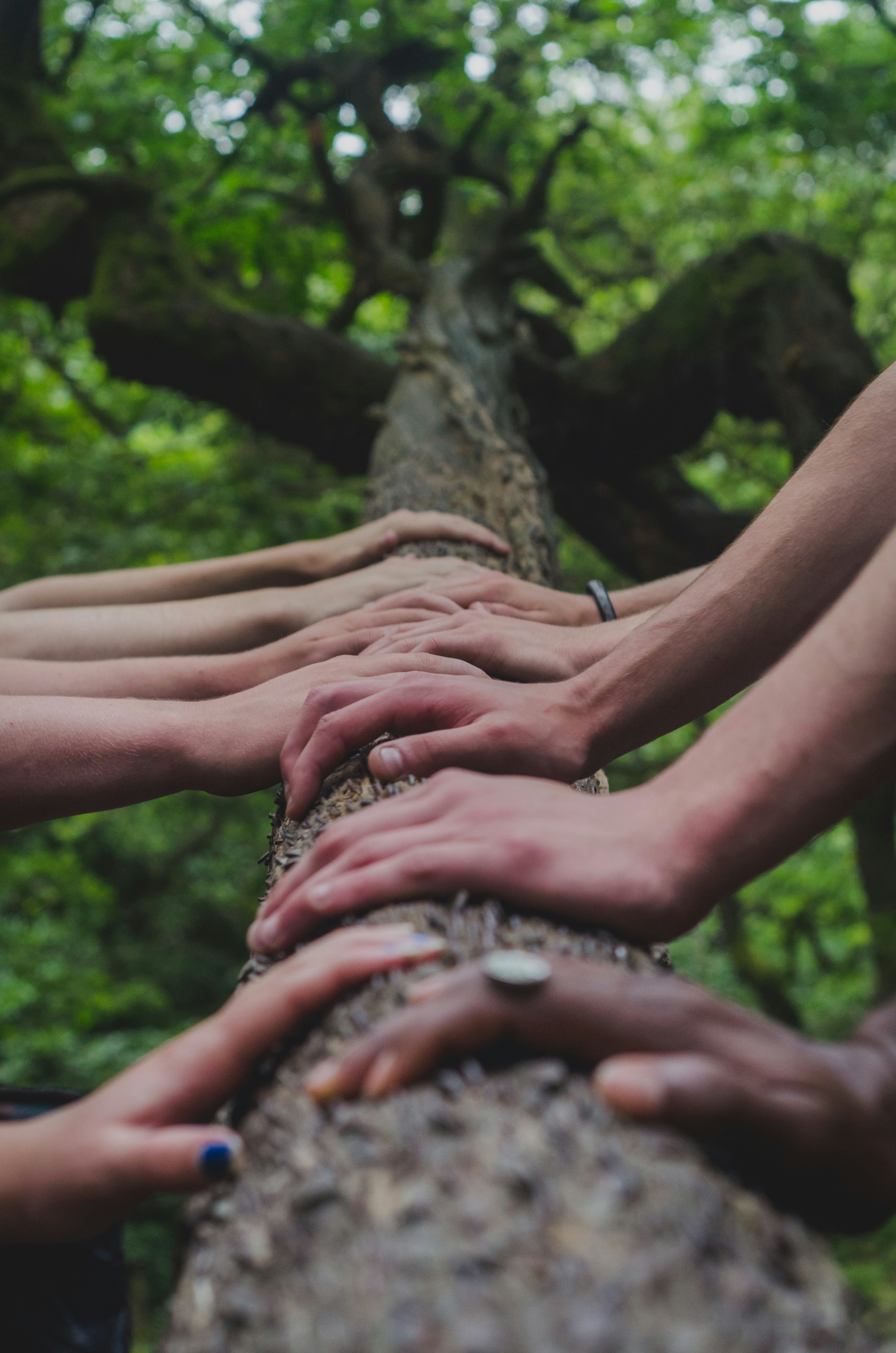 Climate Literacy: Essential Principles for Understanding and Addressing ...
