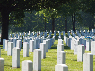 A cemetery with many gravestones among the grass and trees is shown.