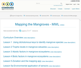 Mapping the Mangroves - MWL Mapping the Mangroves - MWL