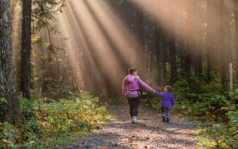 Go for a Walk in Washington