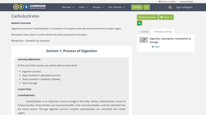 Carbohydrates | OER Commons