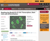 Reading the Blueprint of Life: Transcription, Stem Cells and Differentiation, Fall 2006 Reading the Blueprint of Life: Transcription, Stem Cells and Differentiation, Fall 2006