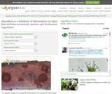 AlgaeBase AlgaeBase