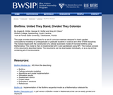 Biofilms: United They Stand, Divided They Colonize