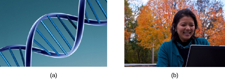 Human Genetics