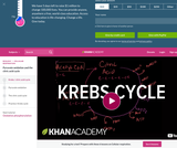 Biology: Krebs / Citric Acid Cycle