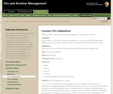 Fire Adaptations