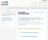 Core 2.5: Risk and Safety SDM