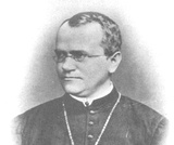 Biology, Genetics, Mendel's Experiments and Heredity, Mendel’s Experiments and the Laws of Probability