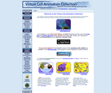 Virtual Cell Animation Collection Virtual Cell Animation Collection