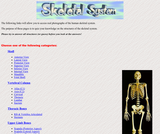 Skeletal System Skeletal System