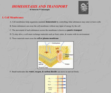 Homeostasis And Transport