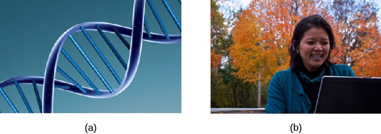 Human Genetics