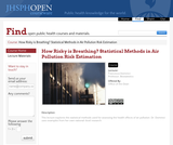 How Risky is Breathing? Statistical Methods in Air Pollution Risk Estimation