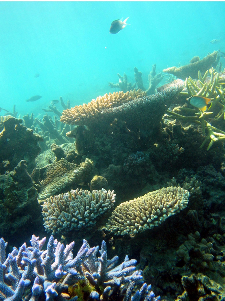 Aquatic Biomes