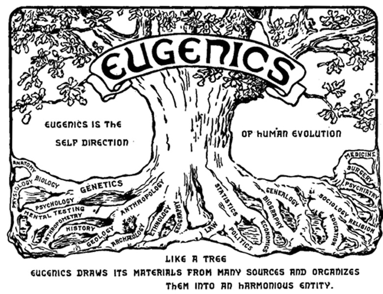 Fertilization and Early Embryonic Development