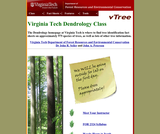 Dendrology at Virginia Tech