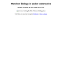 The Old White Sheet Trick: Light and Insect Behavior