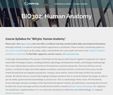 Human Anatomy Human Anatomy