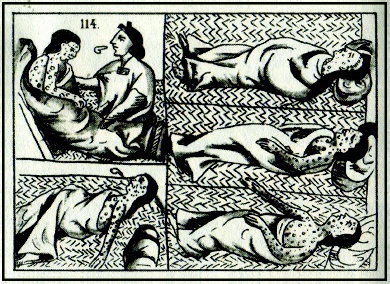 New Worlds in the Americas: Labor, Commerce, and the Columbian Exchange
