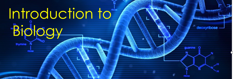 3.4 Macromolecule Nucleic Acid