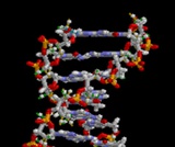 Biology - Remixed for Austin Community College, The Study of Life, Levels of Organization of Living Things