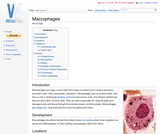 Macrophages Macrophages