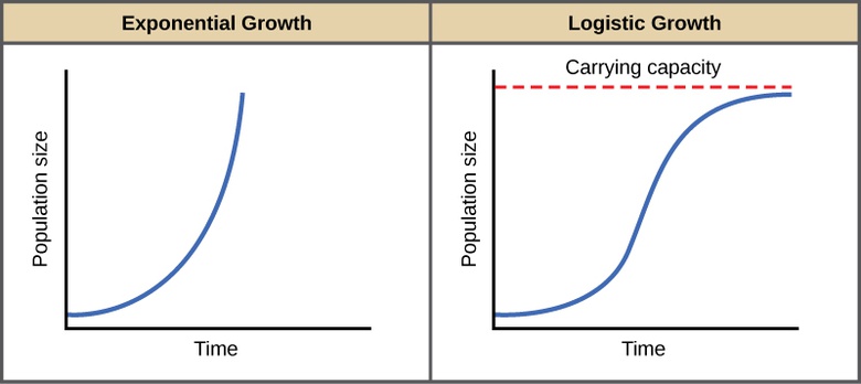 Environmental Limits to Population Growth