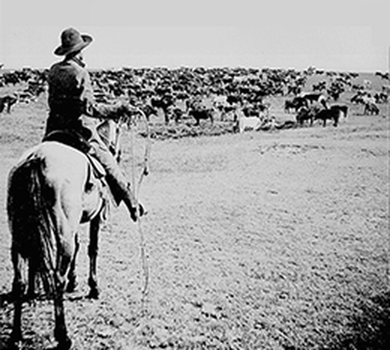 Making a Living in Gold and Cattle