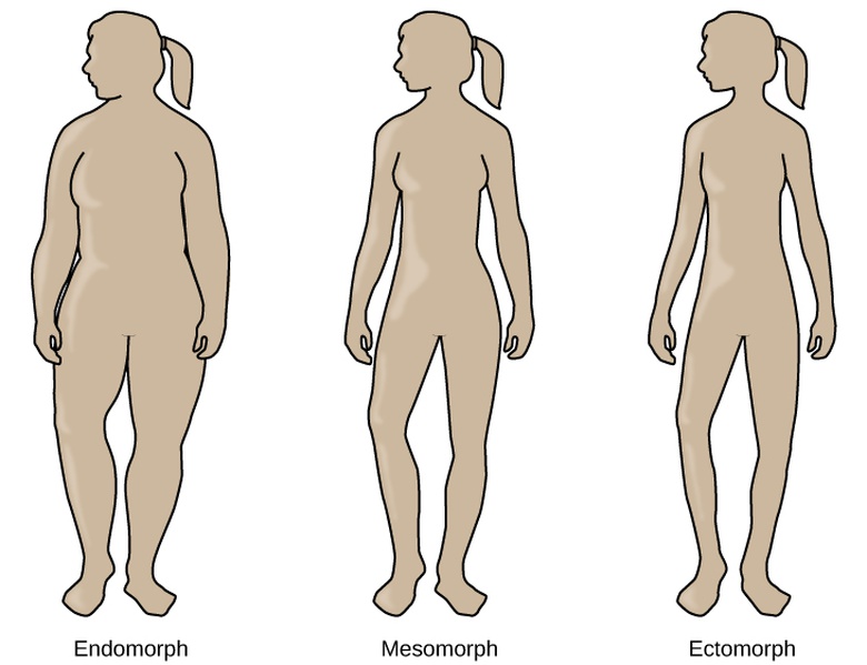 Biological Approaches