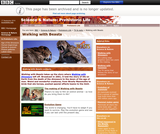 BBC: Walking with Beasts