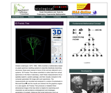 3D FractaL-Tree 3D FractaL-Tree