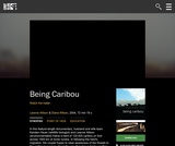 Being Caribou Being Caribou