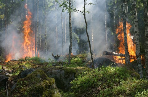 PEI SOLS K Fire: Humans and Wildfires