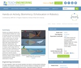 Biomimicry: Echolocation in Robotics Biomimicry: Echolocation in Robotics