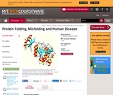 Protein Folding, Misfolding and Human Disease, Fall 2004 Protein Folding, Misfolding and Human Disease, Fall 2004