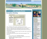 Perception Checking Perception Checking