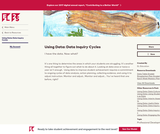 Using Data: Data Inquiry Cycles Using Data: Data Inquiry Cycles