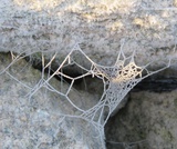 Field Trip into nature