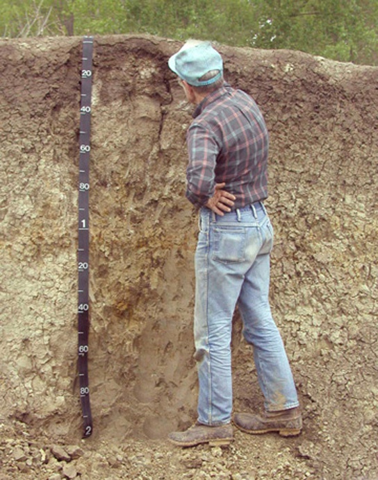 The Soil