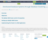 Distributed Database Systems through Database Clustering