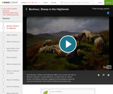 Bonheur's Sheep in the Highlands Bonheur's Sheep in the Highlands