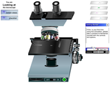 Simple Virtual Microscope Simple Virtual Microscope