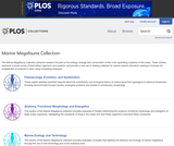 Marine Megafauna Collection