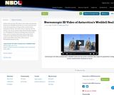 Stereoscopic 3D Video of Antarctica's Weddell Seals