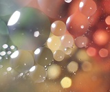 Biology, The Chemistry of Life, Biological Macromolecules, Lipids