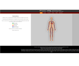 Vital: An Interactive Guide to the Effects of VITamins & minerALs in the body systems